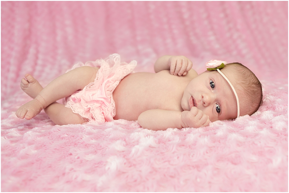 Aurora newborn girl photographed on pink rose blanket