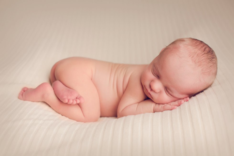 posed-newborn-photos