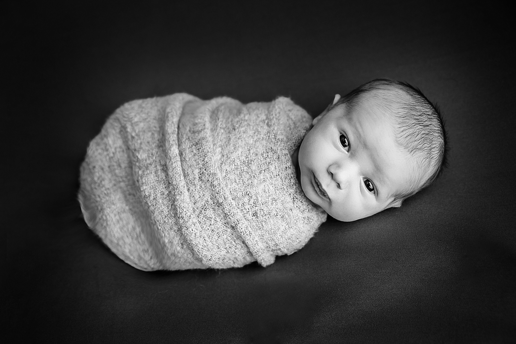 dousman newborn photographers