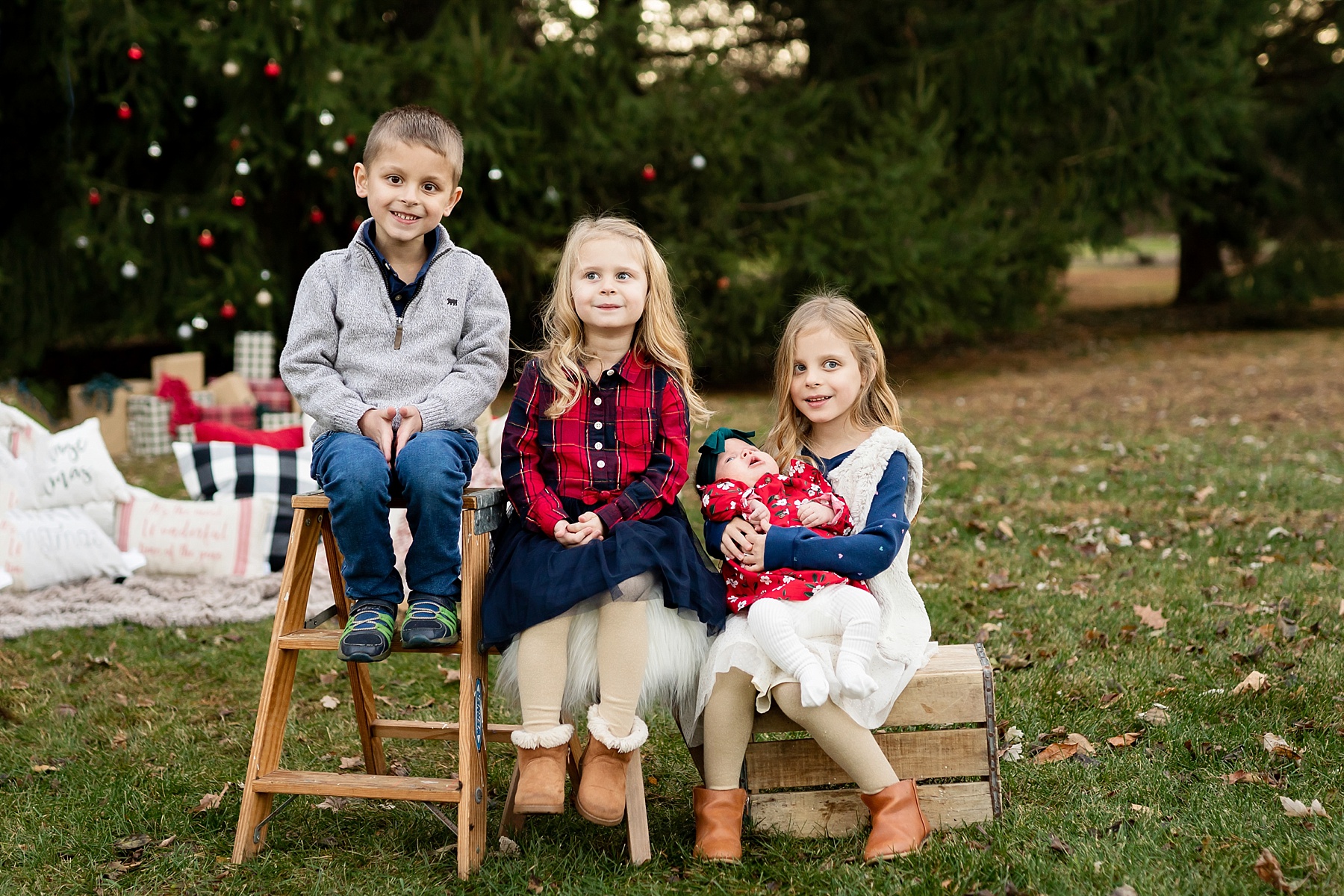 Christmas Mini Session Photographer