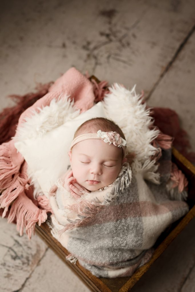 infant photography jackson
