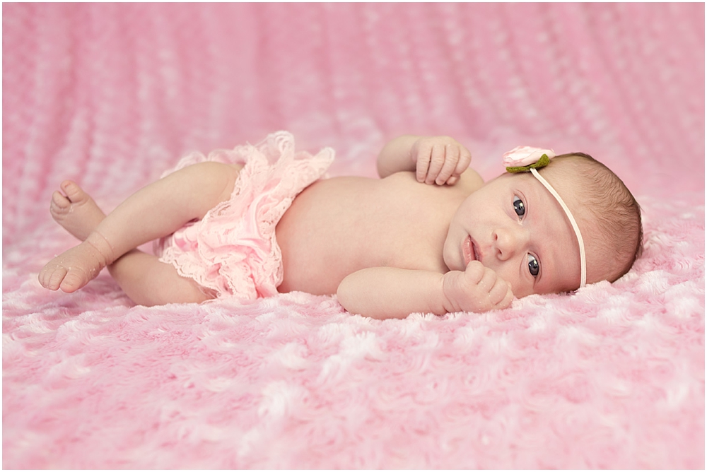 newborn girl photographed on pink rose blanket