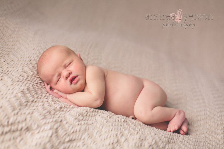 delafield newborn photographer
