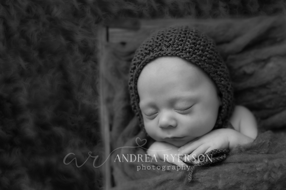 hartford_newborn_photographer