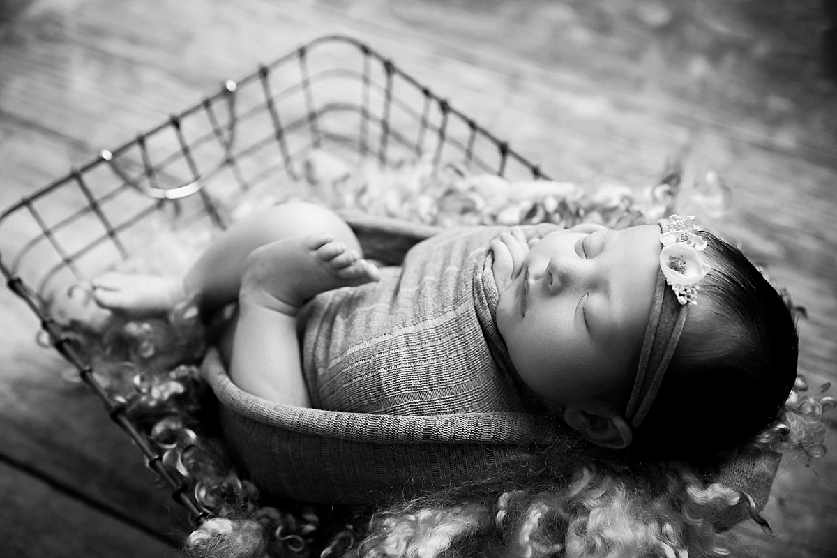 luxuary-newborn-photos.jpg