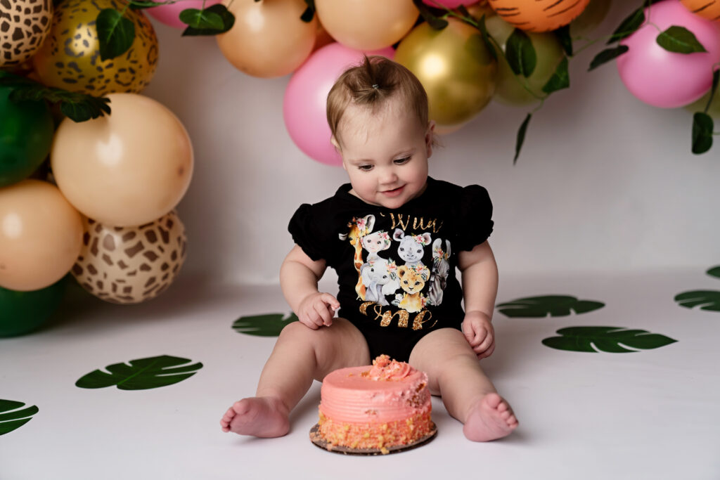 will one cake smash photography